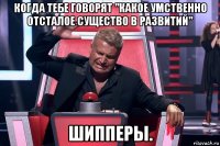 когда тебе говорят "какое умственно отсталое существо в развитий" шипперы.