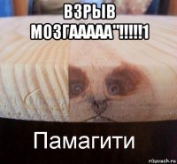 взрыв мозгааааа"!!!!!1 