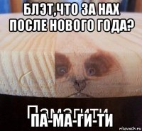 блэт,что за нах после нового года? па-ма-ги-ти