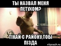 ты назвал меня петухом? тiкай с району,тобi пiзда