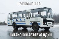 пазиков много китайский автобус один