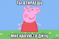 ты втираешь мне какую то дичь