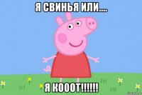 я свинья или.... я кооот!!!!!!