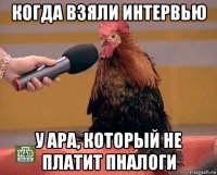 когда взяли интервью у ара, который не платит пналоги