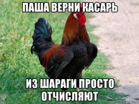 паша верни касарь из шараги просто отчисляют