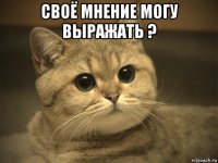 своё мнение могу выражать ? 