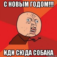 с новым годом!!! иди сюда собака