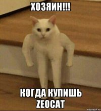 хозяин!!! когда купишь zeocat