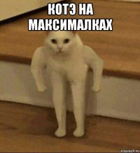 котэ на максималках 