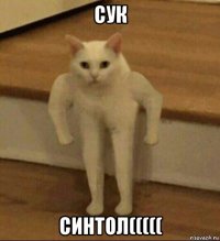 сук синтол(((((