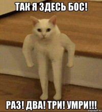 так я здесь бос! раз! два! три! умри!!!