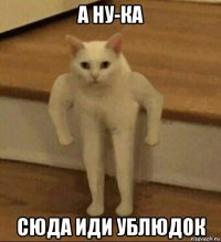 а ну-ка сюда иди ублюдок