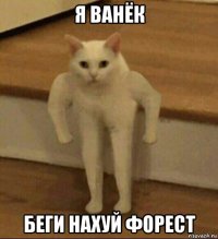 я ванёк беги нахуй форест