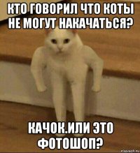 кто говорил что коты не могут накачаться? качок.или это фотошоп?