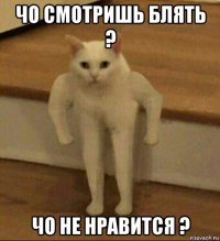 чо смотришь блять ? чо не нравится ?