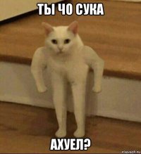 ты чо сука ахуел?