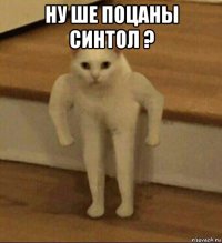 ну ше поцаны синтол ? 