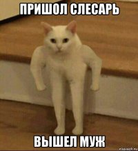 пришол слесарь вышел муж