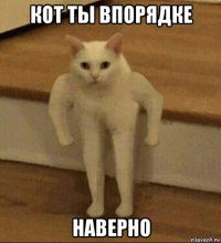 кот ты впорядке наверно