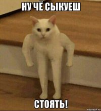 ну чё сыкуеш стоять!