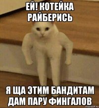 ей! котейка райберись я ща этим бандитам дам пару фингалов