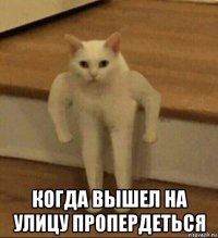  когда вышел на улицу пропердеться