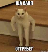 ща саня отгребет