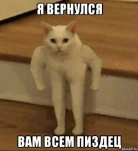 я вернулся вам всем пиздец