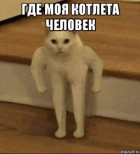 где моя котлета человек 