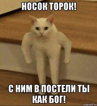 носок торок! с ним в постели ты как бог!