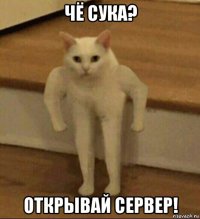 чё сука? открывай сервер!