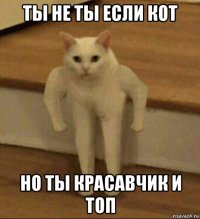 ты не ты если кот но ты красавчик и топ