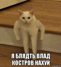  я блядть влад костров нахуй