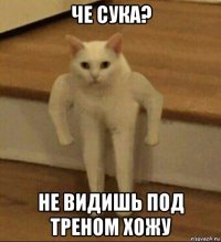 че сука? не видишь под треном хожу