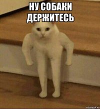 ну собаки держитесь 