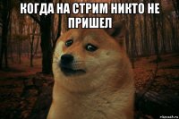 когда на стрим никто не пришел 