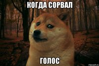 когда сорвал голос