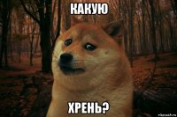 какую хрень?