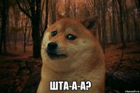  шта-а-а?