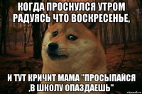 когда проснулся утром радуясь что воскресенье, и тут кричит мама "просыпайся ,в школу опаздаешь"