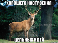 хорошего настроения цельных идей