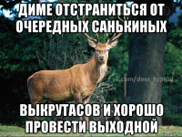 диме отстраниться от очередных санькиных выкрутасов и хорошо провести выходной