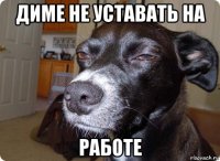 диме не уставать на работе