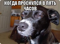 когда проснулся в пять часов 