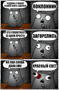 недавно у нашей рыжей опять завелся поклонник от его галантности ее щеки просто загорелись Но она снова дала ему красный свет