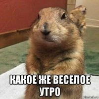  какое же веселое утро