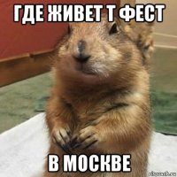 где живет т фест в москве