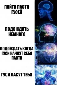 Пойти пасти гусей Подождать немного Подождать когда гуси начнут себя пасти Гуси пасут тебя