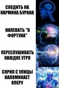 Сходить на кармина бурана Напевать "о фортуна" Переслушивать каждое утро Скрип с улицы напоминает оперу