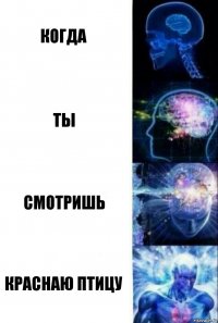 Когда Ты Смотришь Краснаю птицу